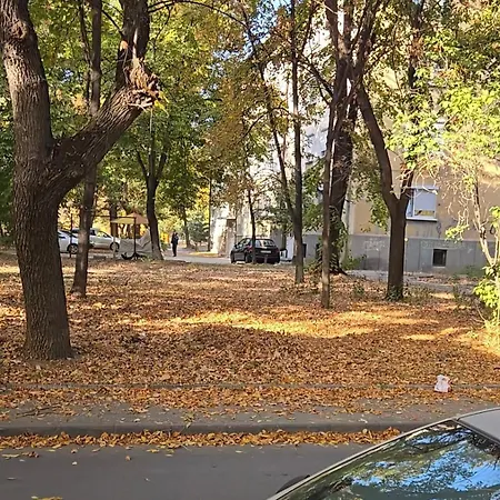 Zoev * פלובדיב